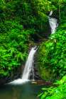 Waterfall in Monte Verde Cloud Forest Preserve, Alajuela Province, Costa Rica Art Print
